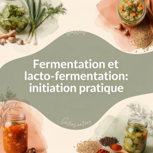 Fermentation et lacto-fermentation: initiation pratique